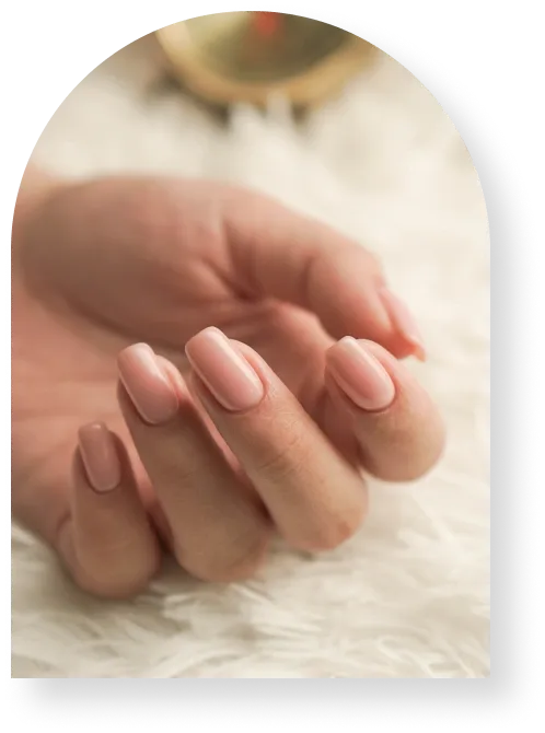 Averie Nails Spa - luxury nail salon and spa services in Cohasset, MA
